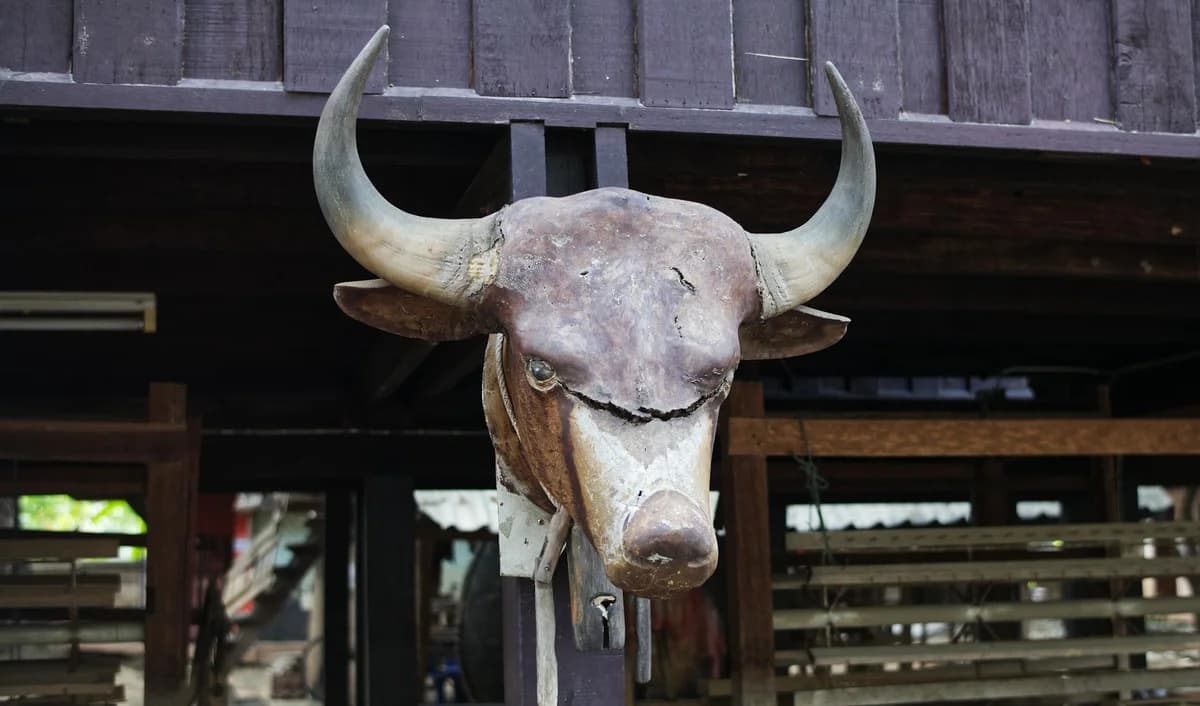 Bull Market vs Bear Market in Crypto: A Beginner's Guide Close-up of a rustic bull head wall decor at an outdoor location in Chiang Mai, Thailand.